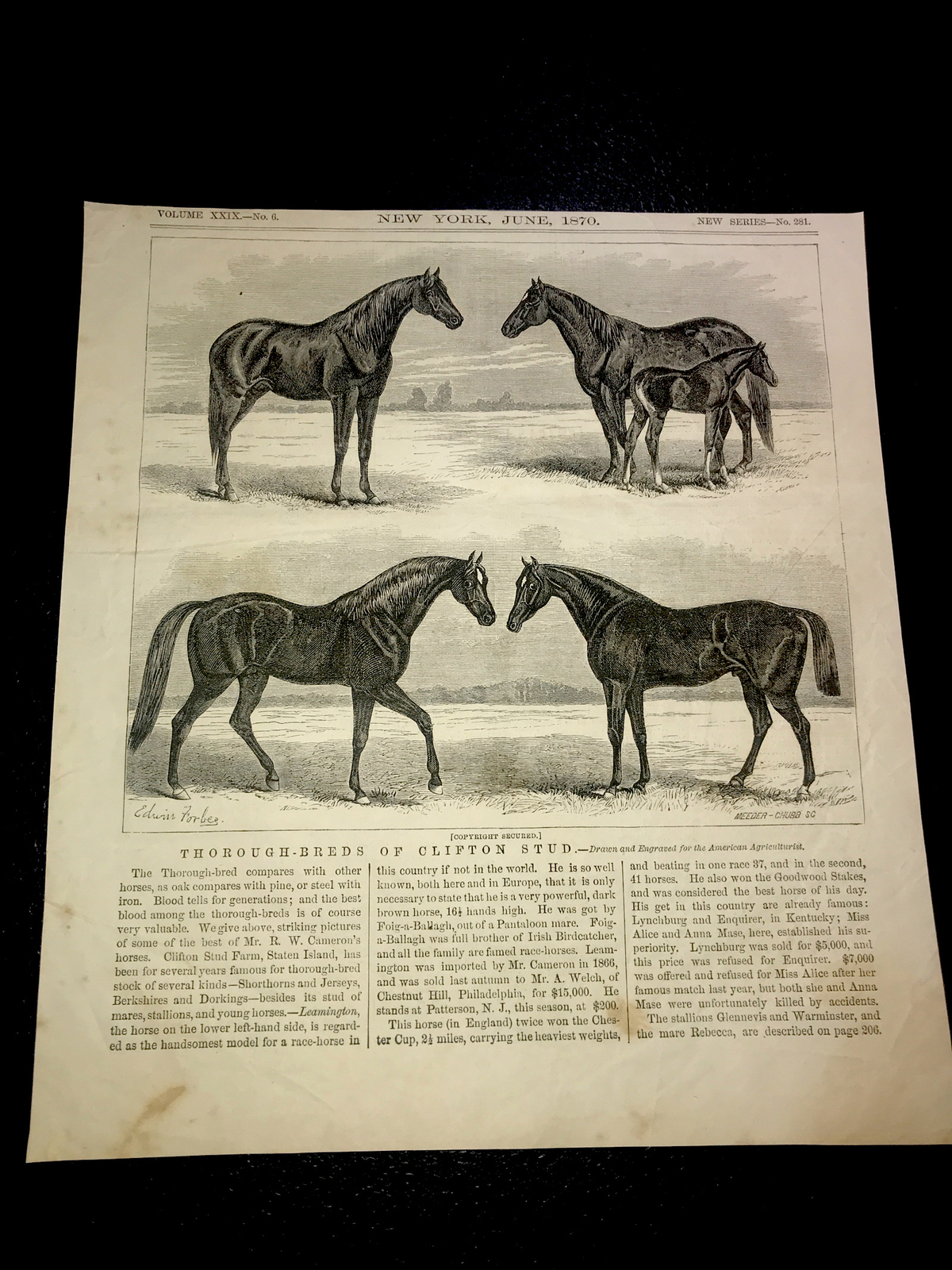 1870 Clifton Stud Farm Horse Engraving Advertising – States Island – New York